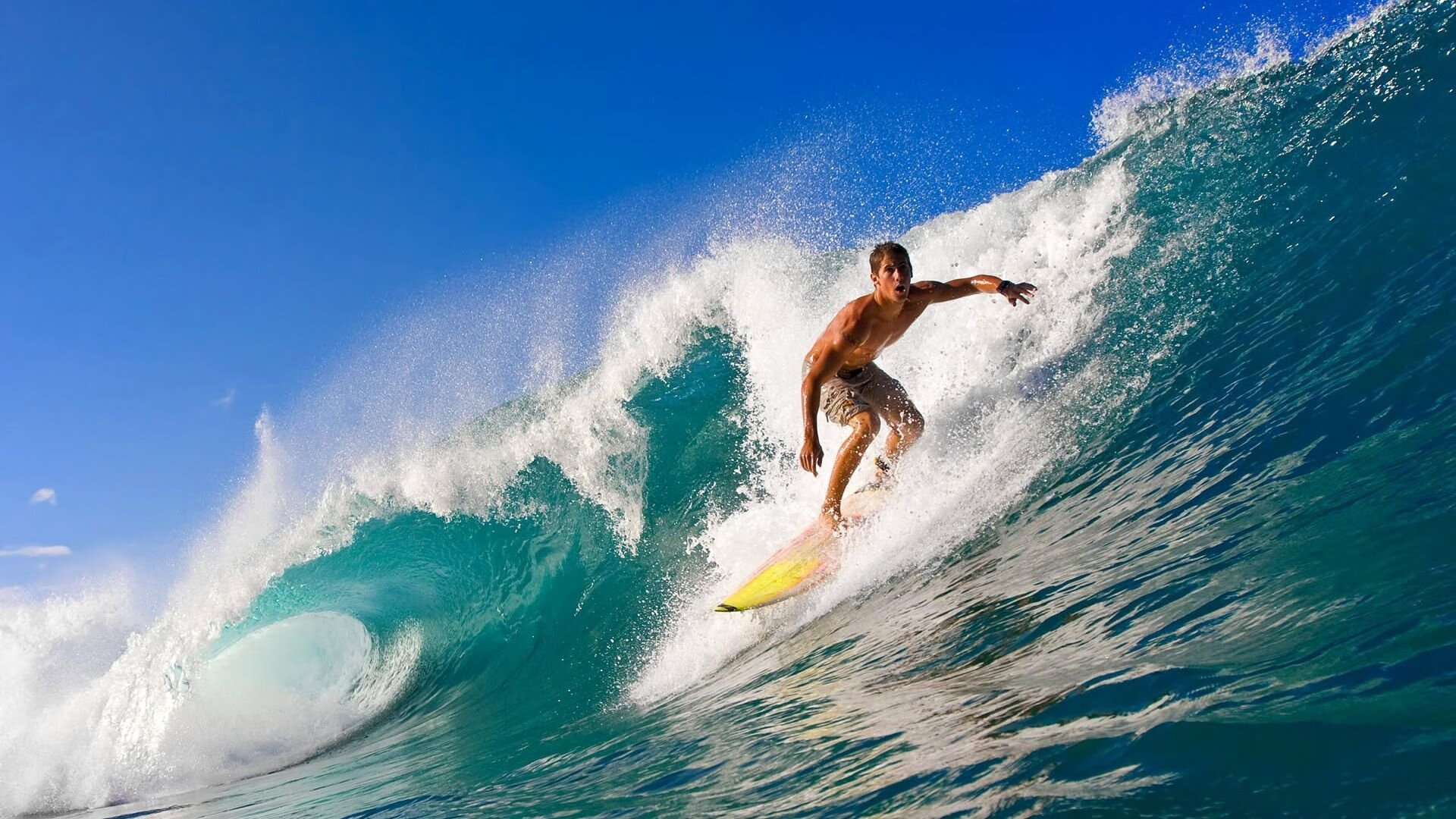 自由泳转身时间排行榜公布，自由泳转身规则 犯规